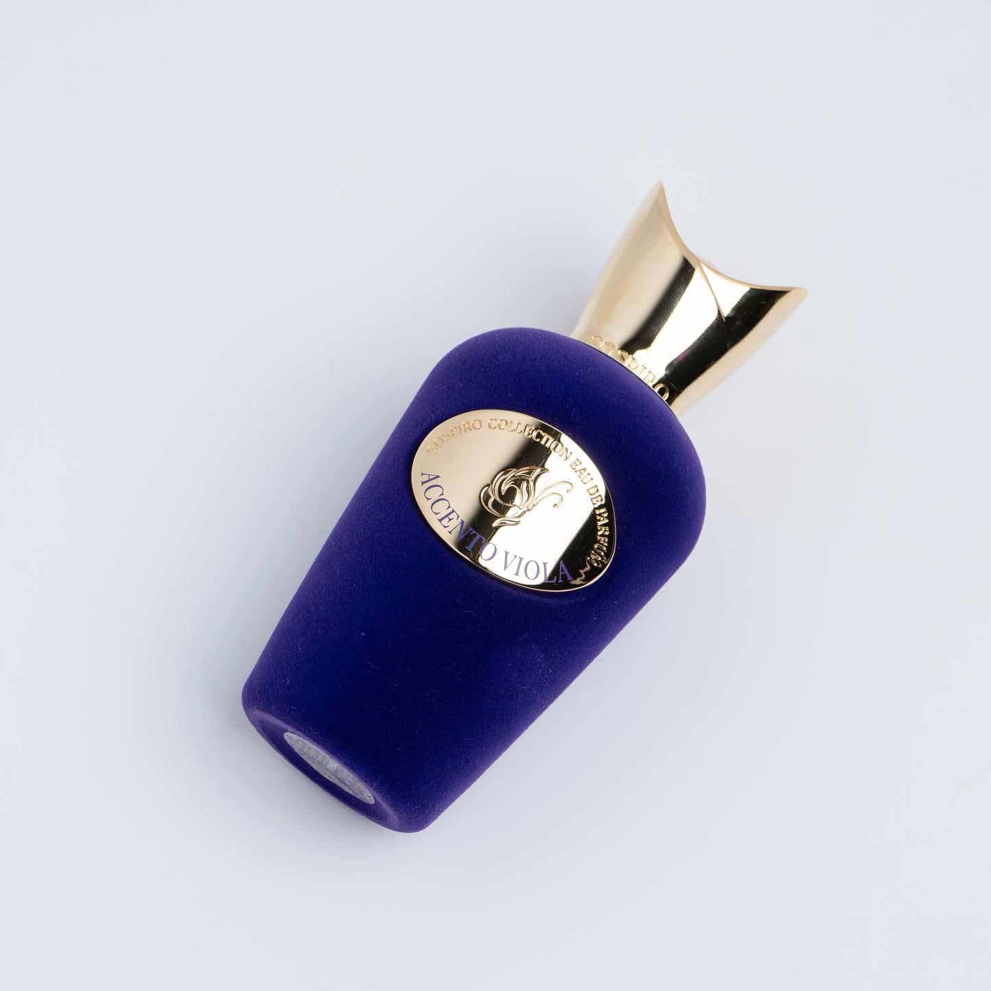 Accento Viola